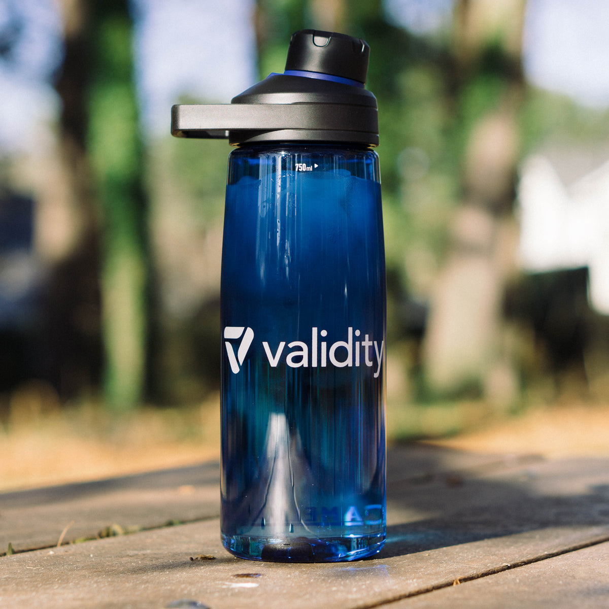 Validity 25 oz. Water Bottle by CamelBak® – validity-swag